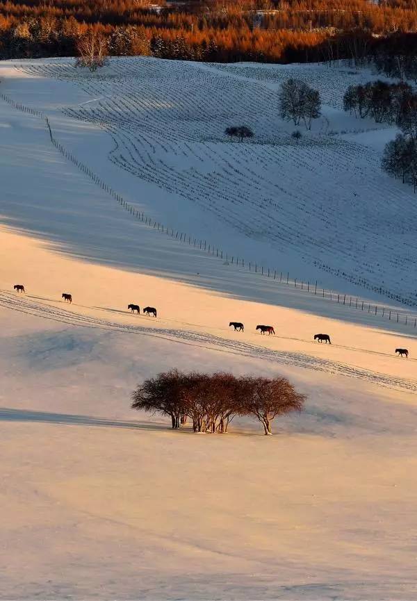 熊猫体育_初二上册英语短语汇总，期末英语温习必备（共150个）