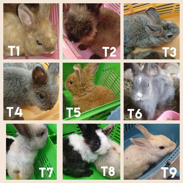 
大连逾越队遣散不到场中乙联赛 将解决球员欠薪难题‘熊猫体育’