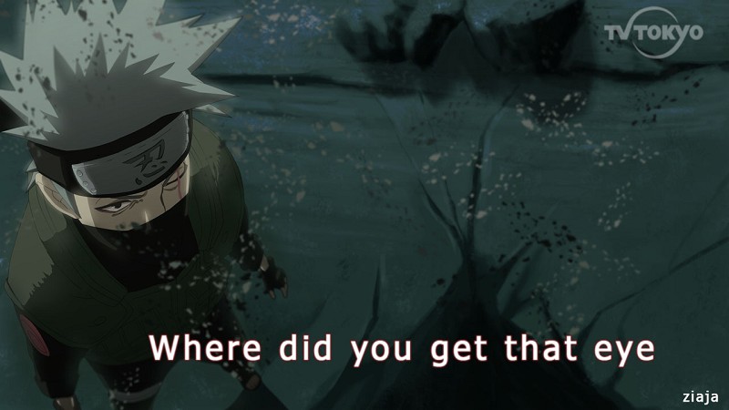 东望-xiongmao体育