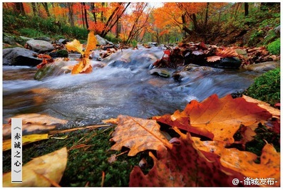 2021不平凡！中超更名不顺，中甲10队资金难题，国足遭暴击：熊猫体育